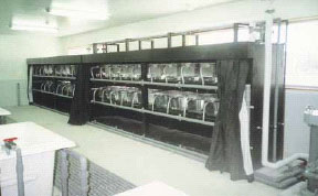 壁側に設置された産卵水槽の暗幕が開かれてたくさんの水槽が並べられている室内写真