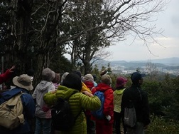 白鹿山から眼下に広がる景色を眺めている参加者の写真