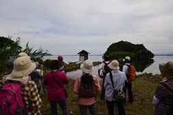 海に浮かぶ弁慶島を岸から眺めている参加者の写真