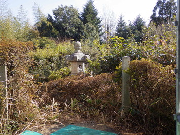 雑草に覆われて見えなくなった石階段と生い茂った樹木の中に立っている石灯籠が写っている、工事前の向月亭前庭からの眺望の写真