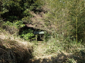 生い茂った雑草と樹木で覆われている施工前の池の土手門の写真