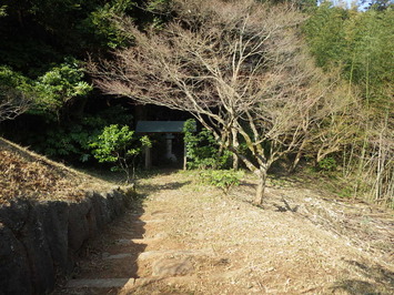 雑草が除草され、樹木も剪定されて道がきれいになった、施工後の池の土手門の写真