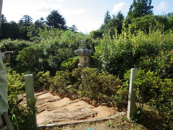 除草されてきれいになった石階段と剪定された植木の中に立っている石灯籠が写っている、工事後の向月亭前庭からの眺望の写真