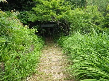 道の両側が雑草で生い茂っている施工前の池の土手門の写真