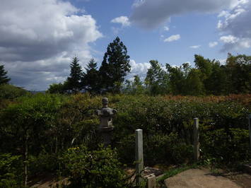 石灯籠の奥に草木が生い茂っている、施工前の向月亭前庭からの眺望の写真