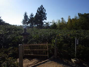 石灯籠の手前に生垣が設置された、施工後の向月亭前庭からの眺望の写真