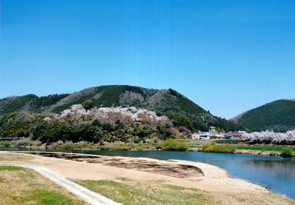 尾関山城跡（中央の小高い山）遠景、手前に江の川が流れ、背後には比熊山城跡がある。