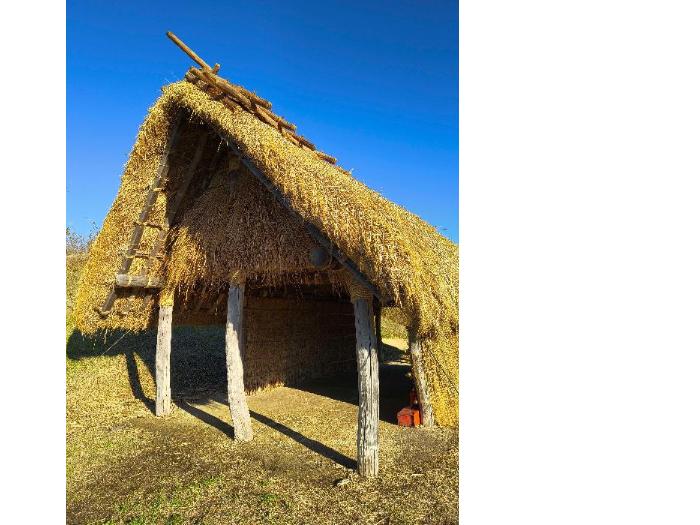 田和山史跡公園内の改修された掘立柱建物