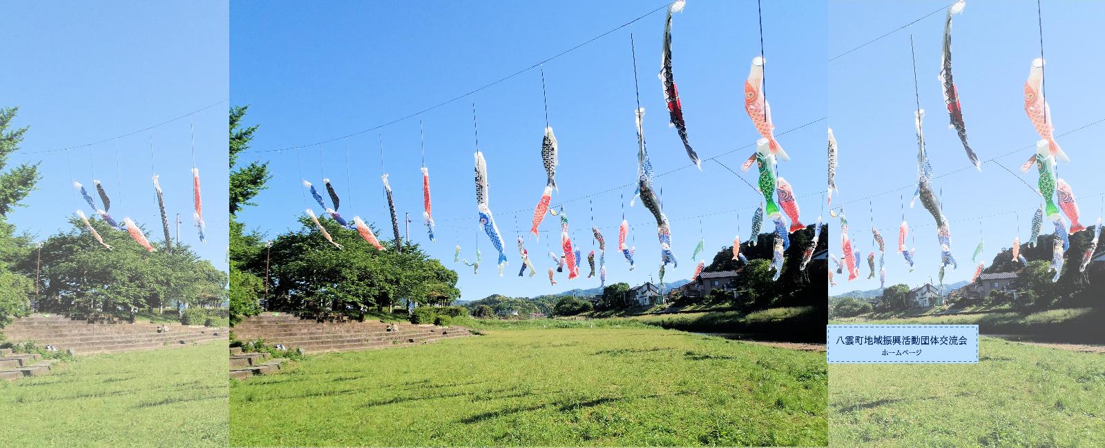 八雲町地域振興活動団体交流会ホームページ 写真は八雲町こいのぼり