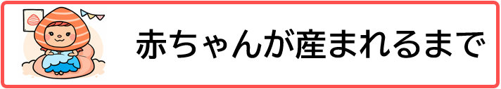 赤ちゃんが産まれるまで