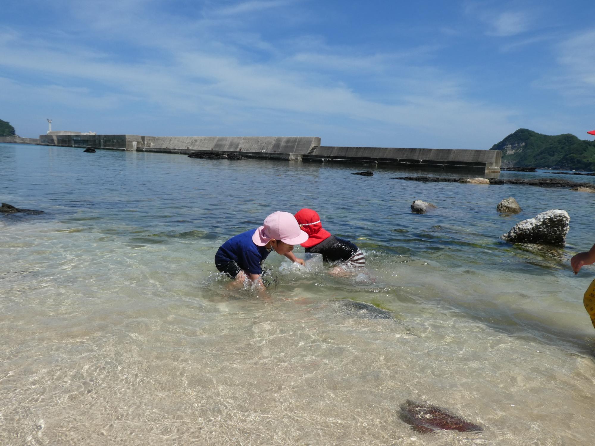 奥に青空が広がり、その下に防波堤がある。中央では2名のこどもが水が透明な浅瀬で海に入って遊んでいる。