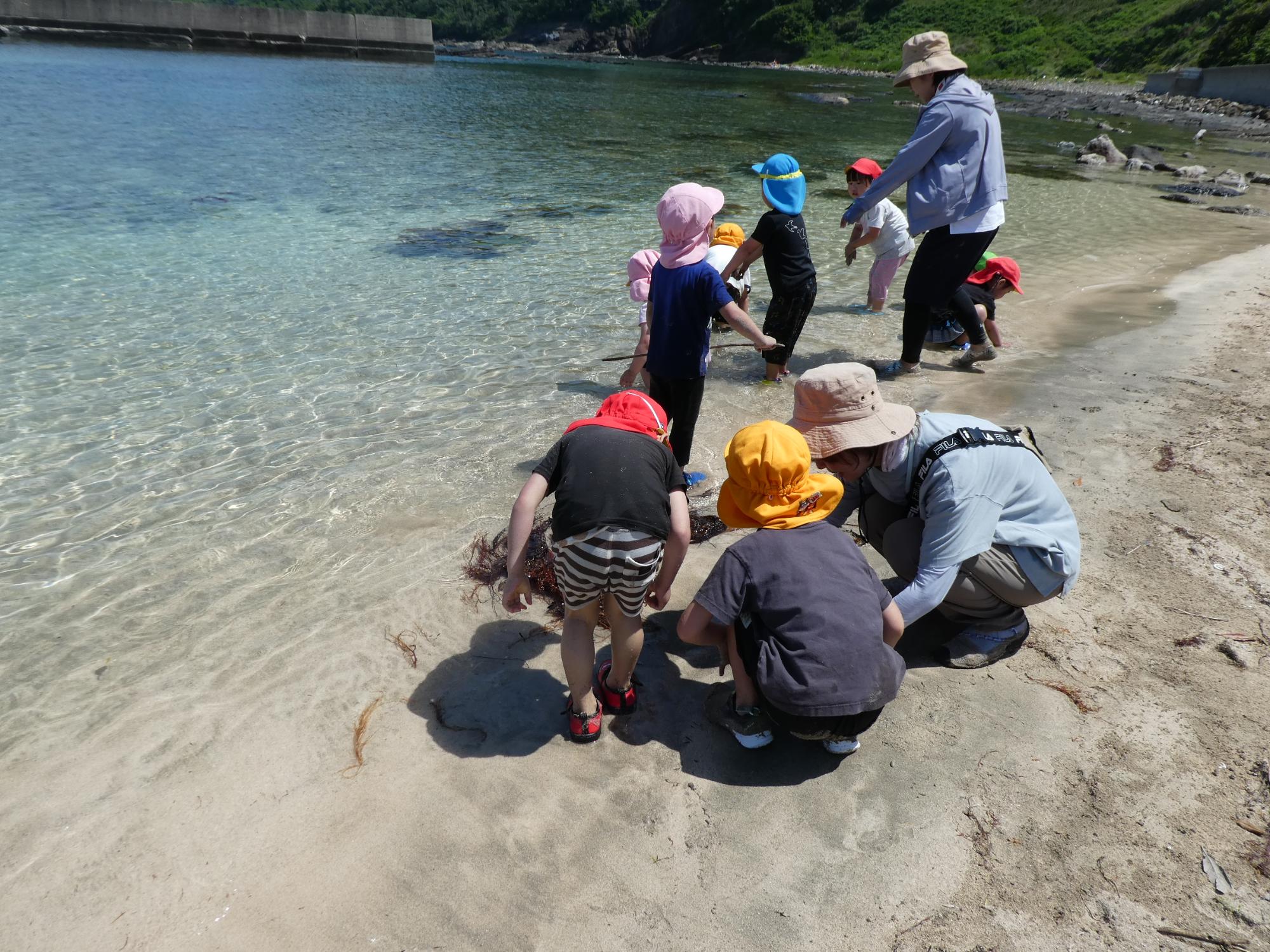 中央から左にかけて水が透明な海があり、右には白い砂浜がある。画面中央で8名のこどもと2名の大人が貝殻や石を探したり、水に入ったりして遊んでいる。