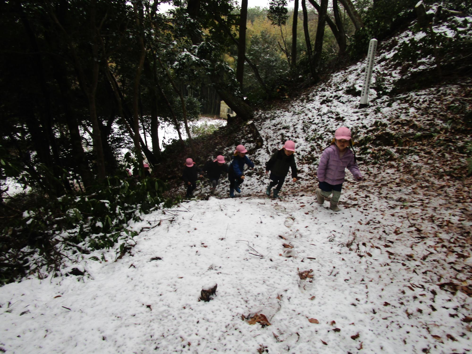 冬のうぐいす山1