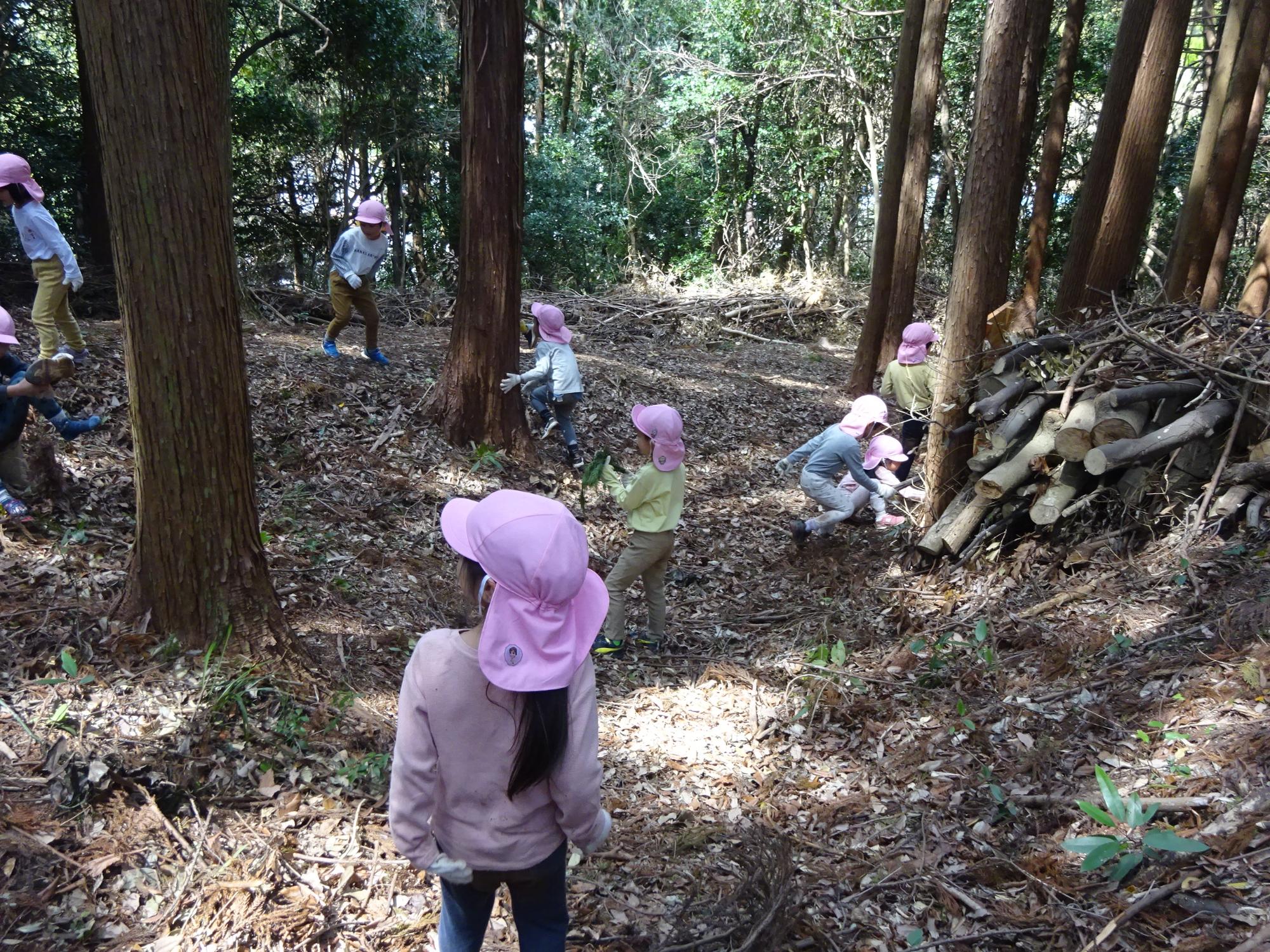 山の中で遊んでいるところ