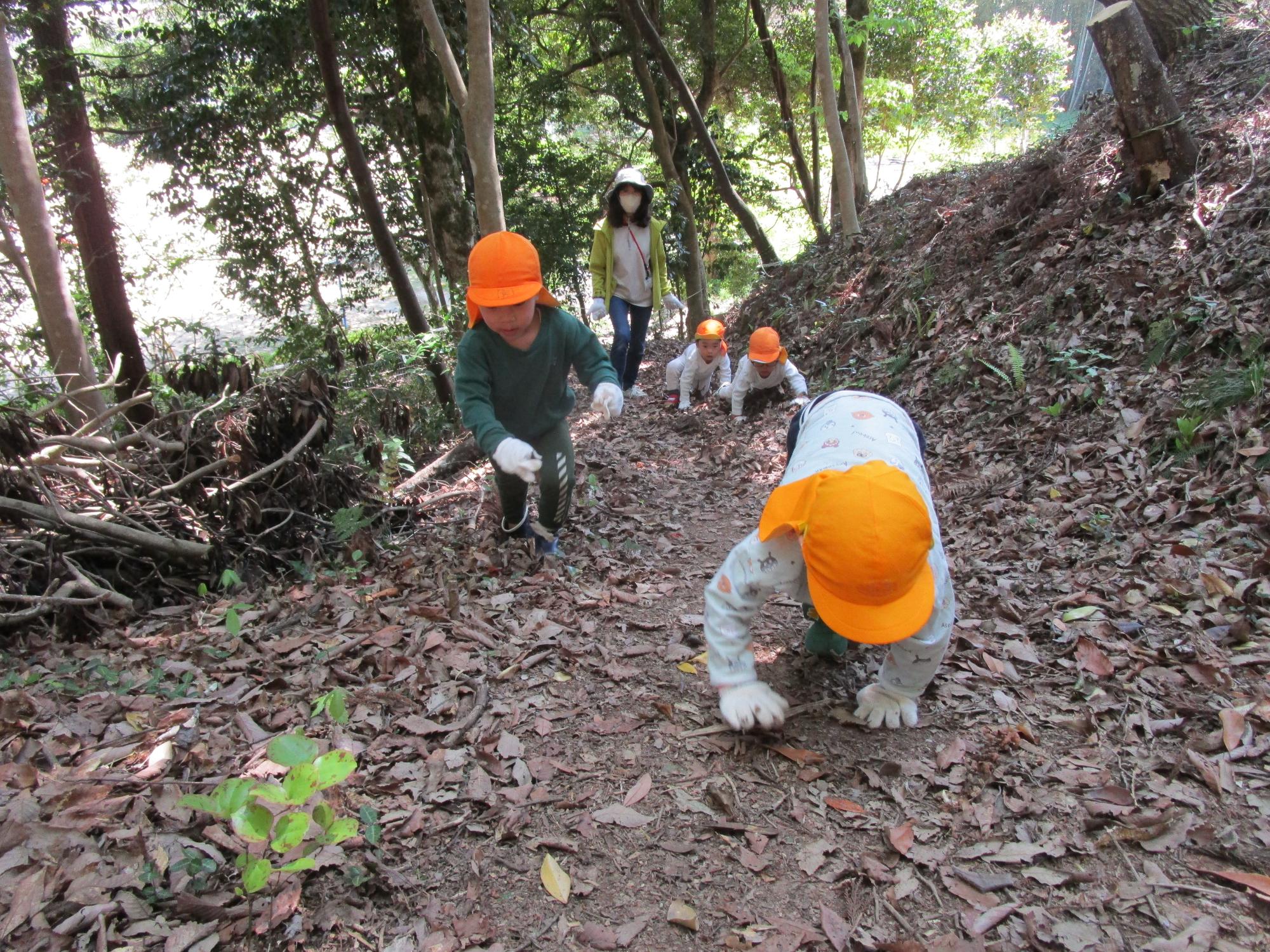 うぐいす山を登っているところ