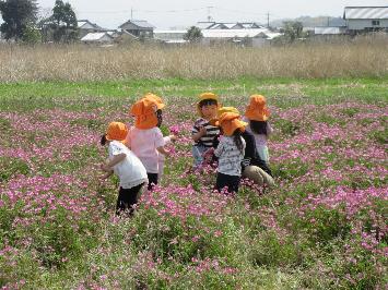 5名ほどの児童がれんげ畑で遊んでいる写真