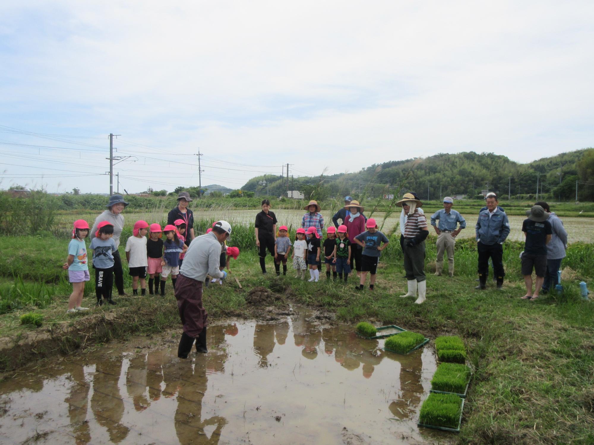 田植えのやり方を教えてもらうこども達