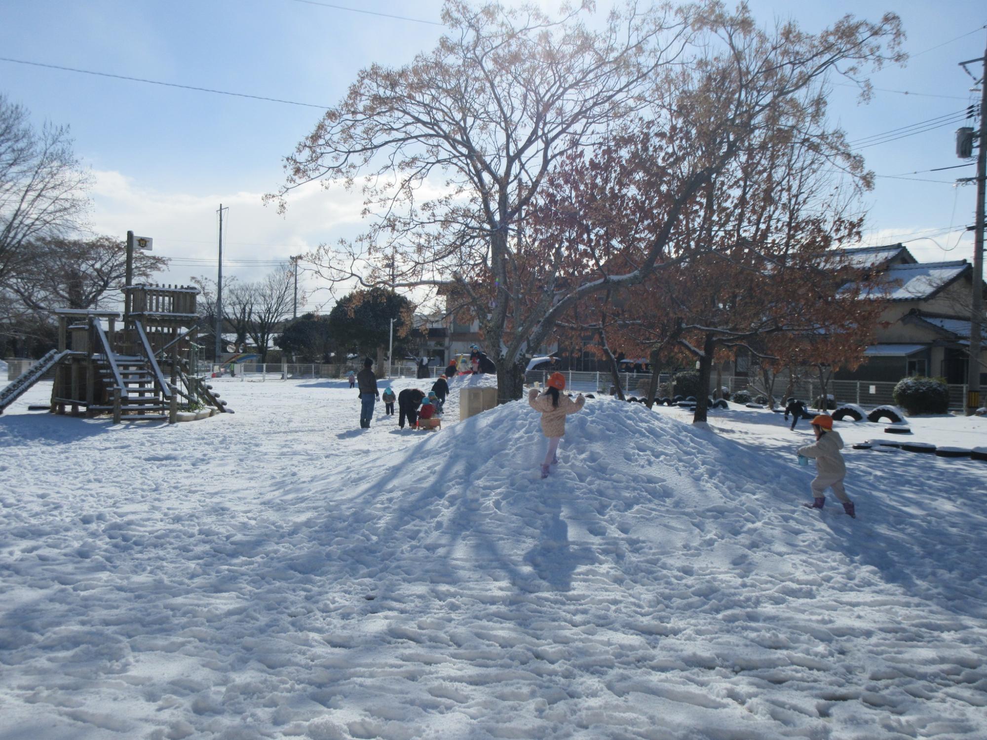 園庭に積もった雪で遊ぶこども達