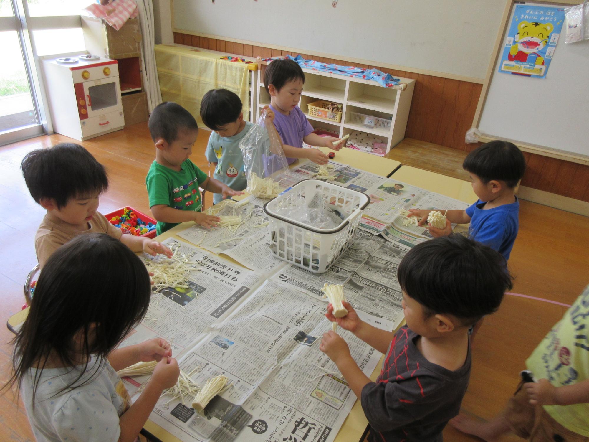 エノキを小さく千切る3歳児