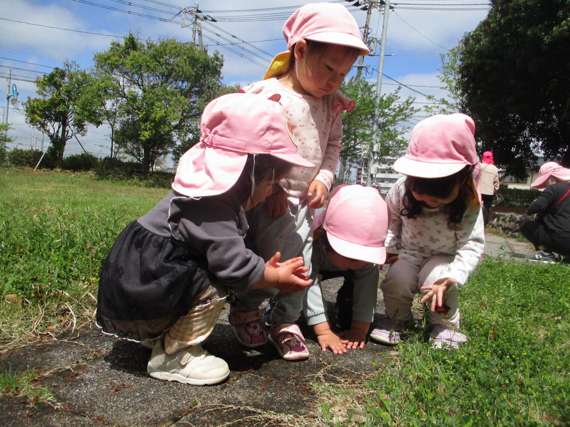 散歩中見つけた虫をみつめる1歳児の様子