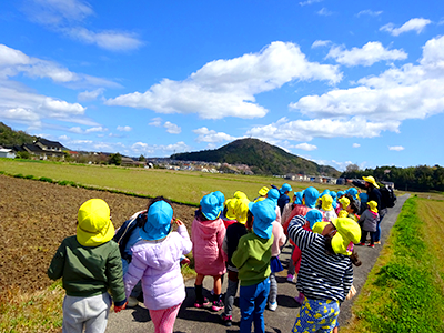 黄色もしくは青色の帽子を被ったやくも幼保園の園児30名ほどが、青空の広がる田園風景の中、先生たちに引率されながらあぜ道を渡る様子の写真。