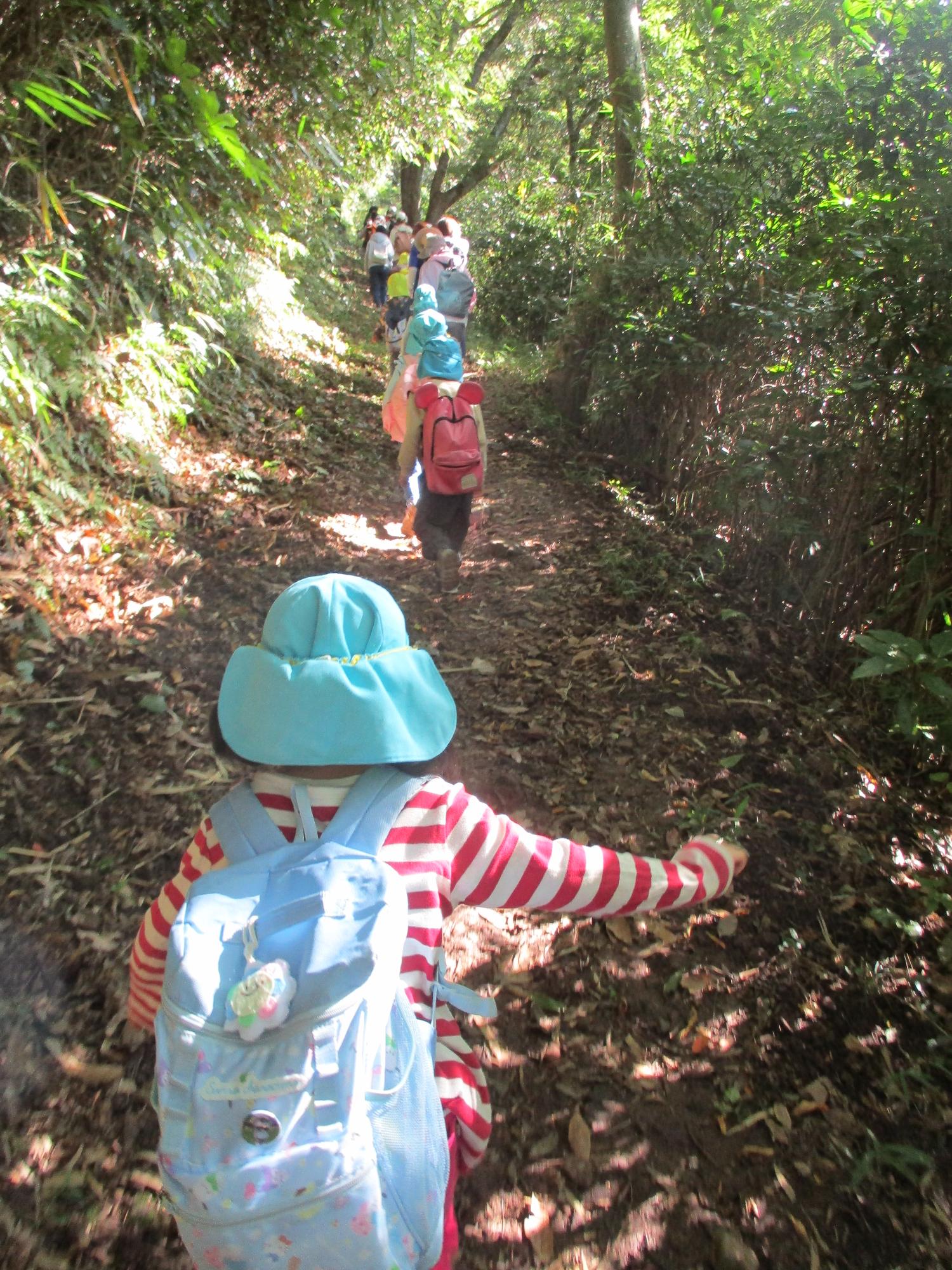 木の実や落ち葉を拾いながら山頂を目指します。