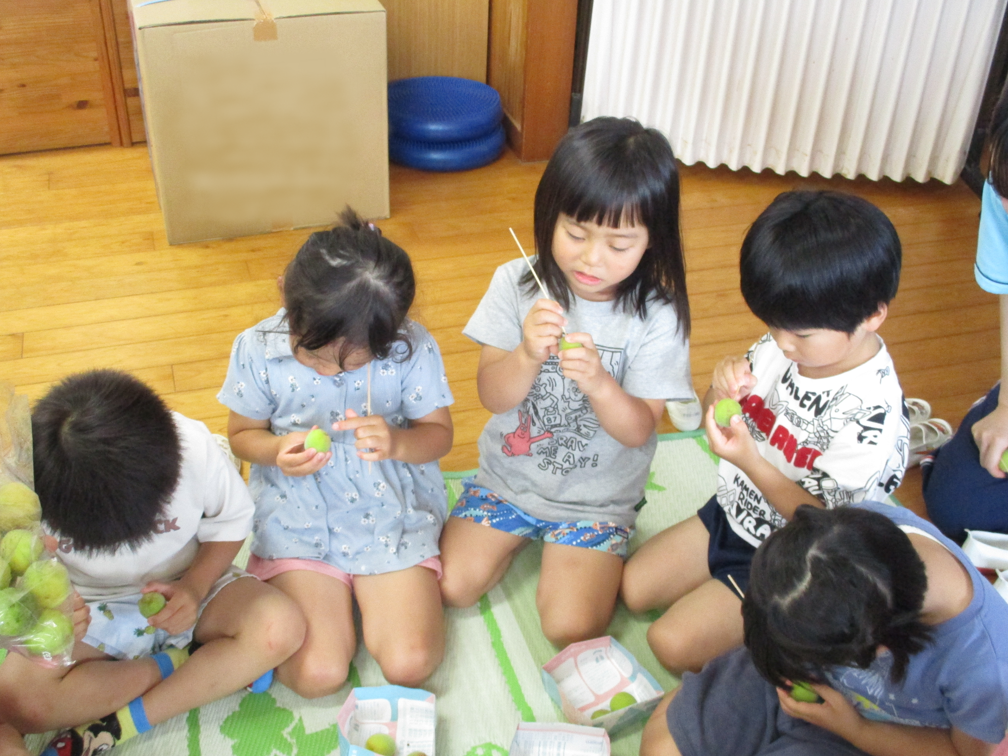 うめのおへそとり、むずかしいね