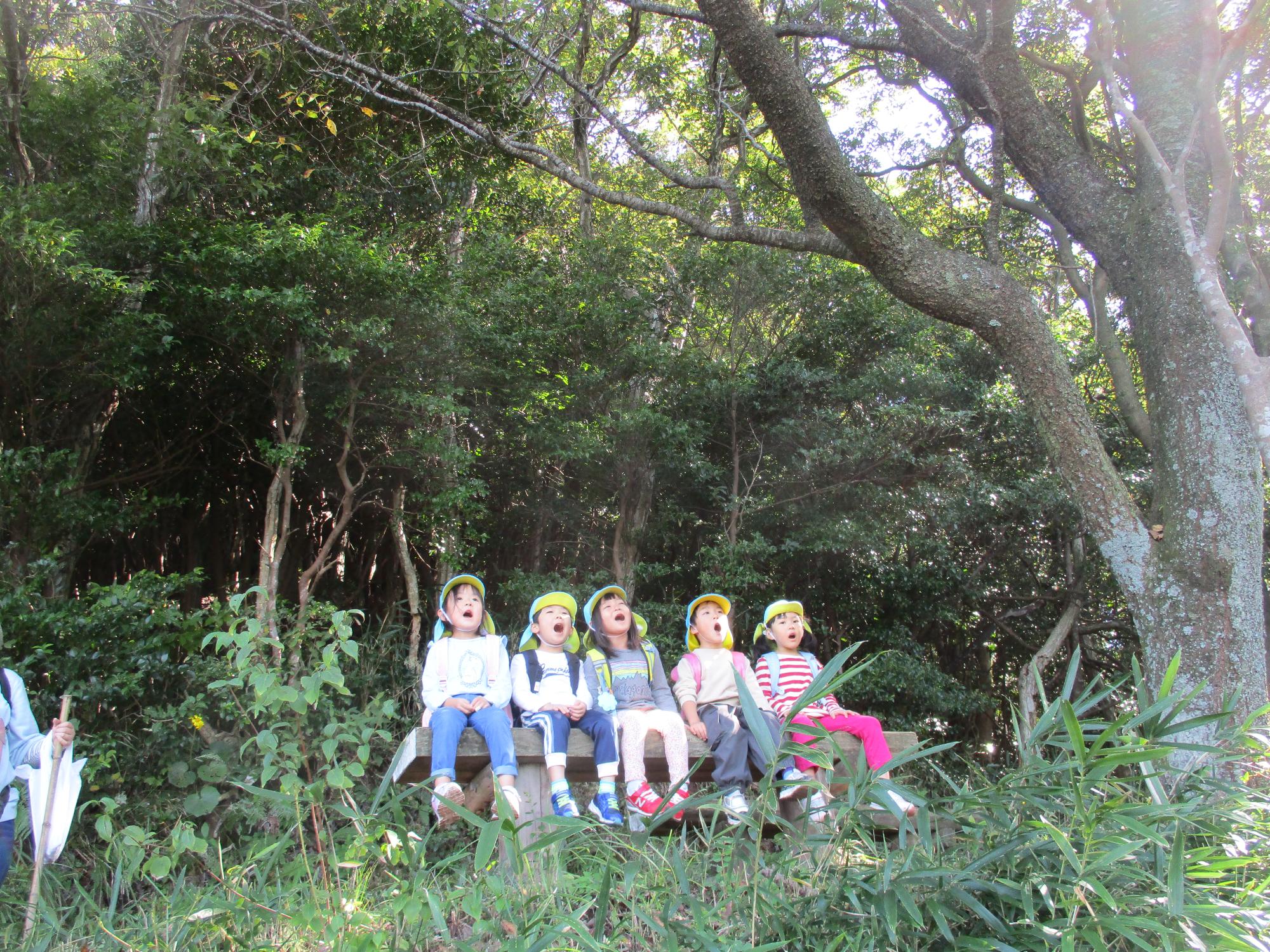 ベルを使ってまずは準備運動から！