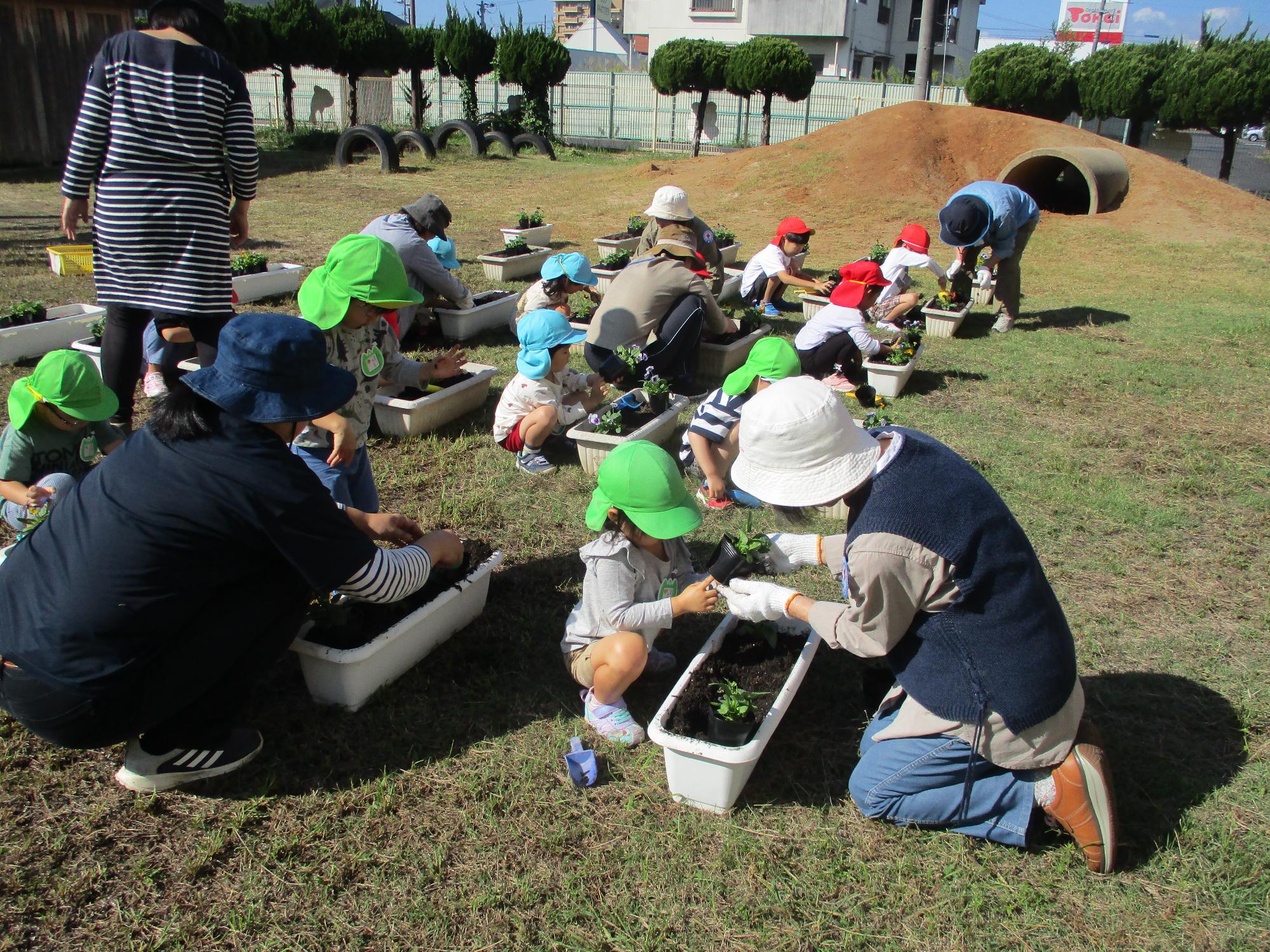 地域の方と一緒に丁寧に植えていきます。