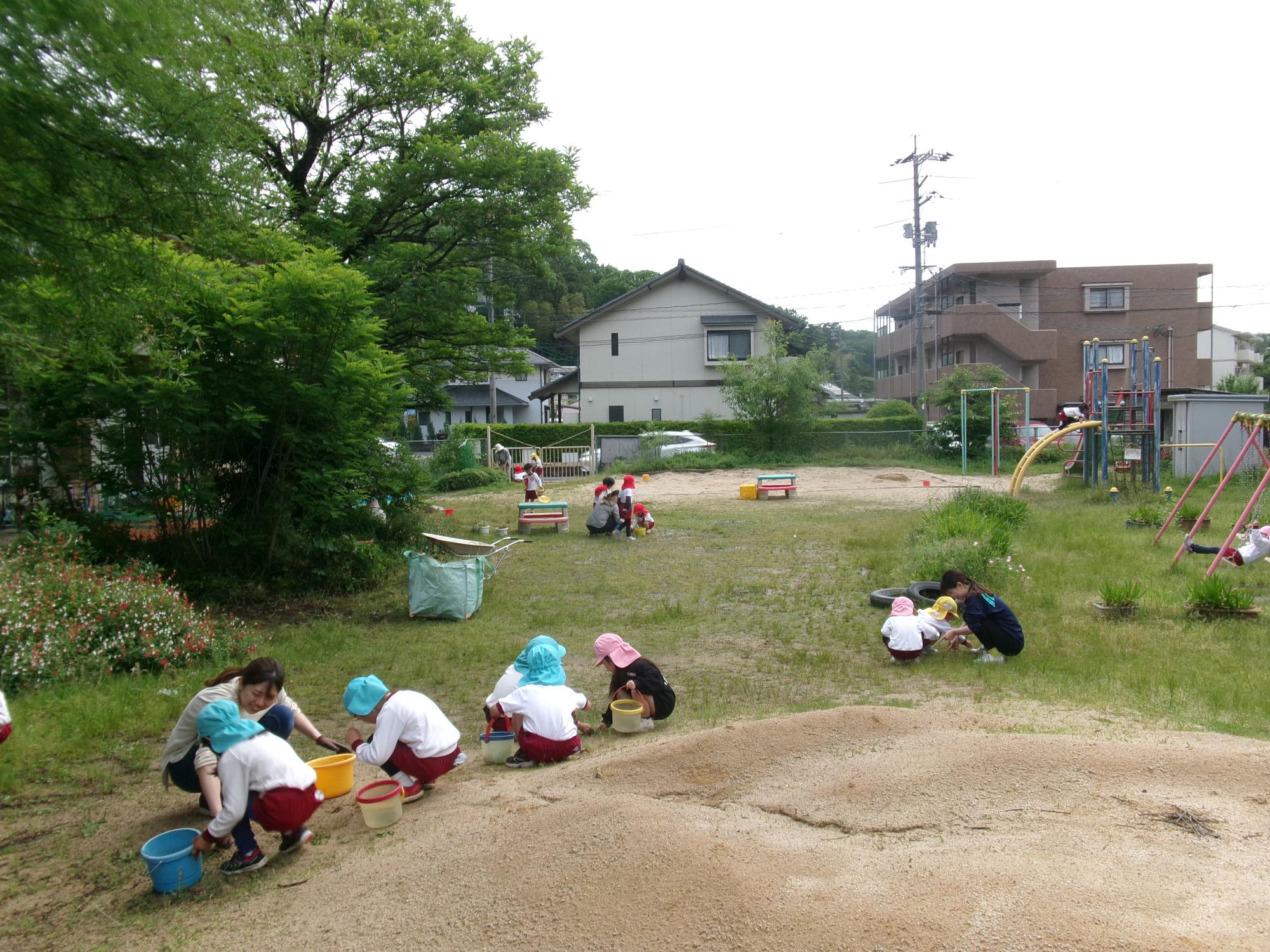 草取り