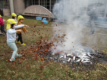 アルミホイルに包まれたサツマイモが置かれた枯葉から白い煙が立ち上り、園児たちが枯葉を投げかけている様子の写真