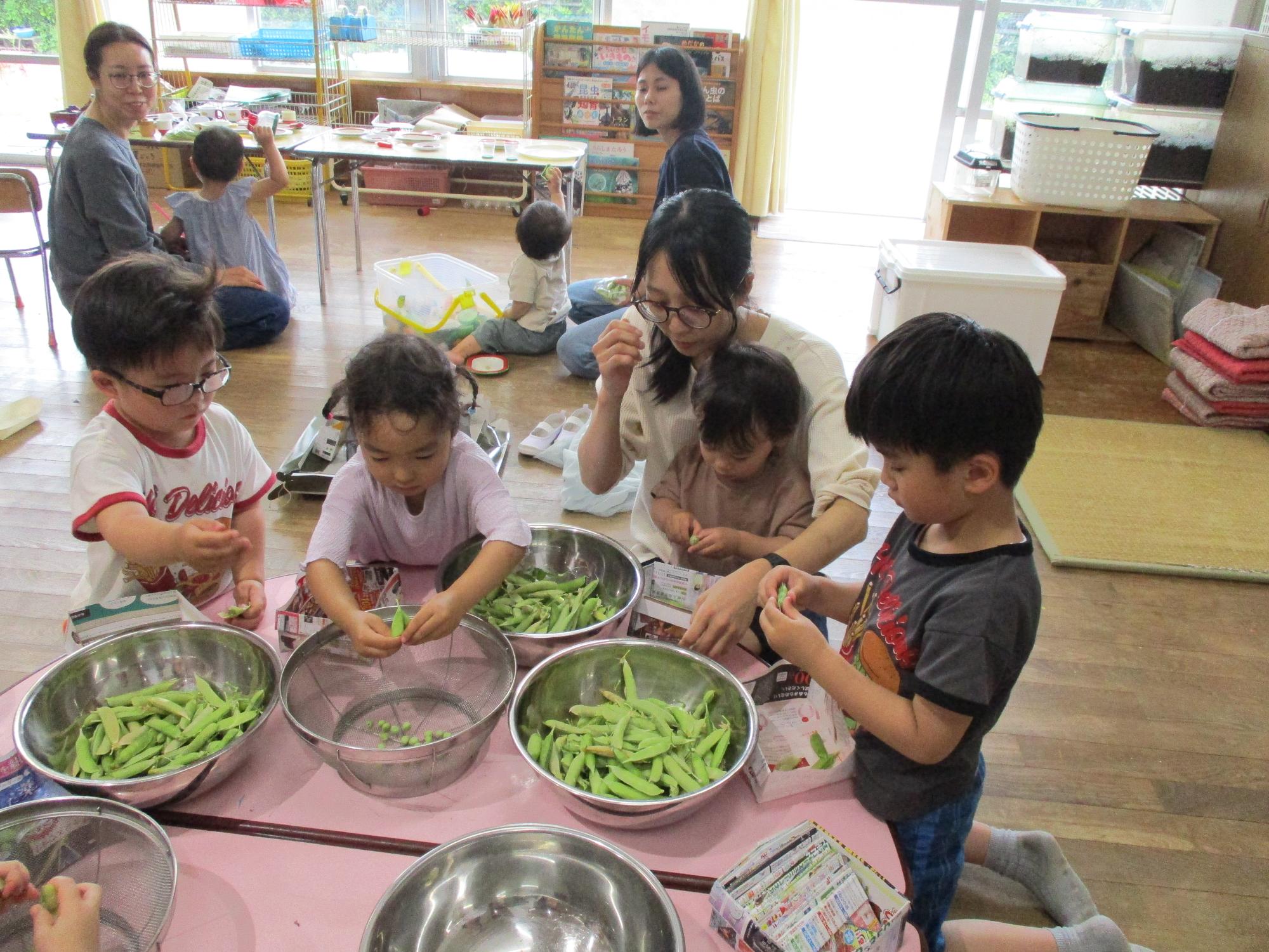 さやから豆をはずしているところ