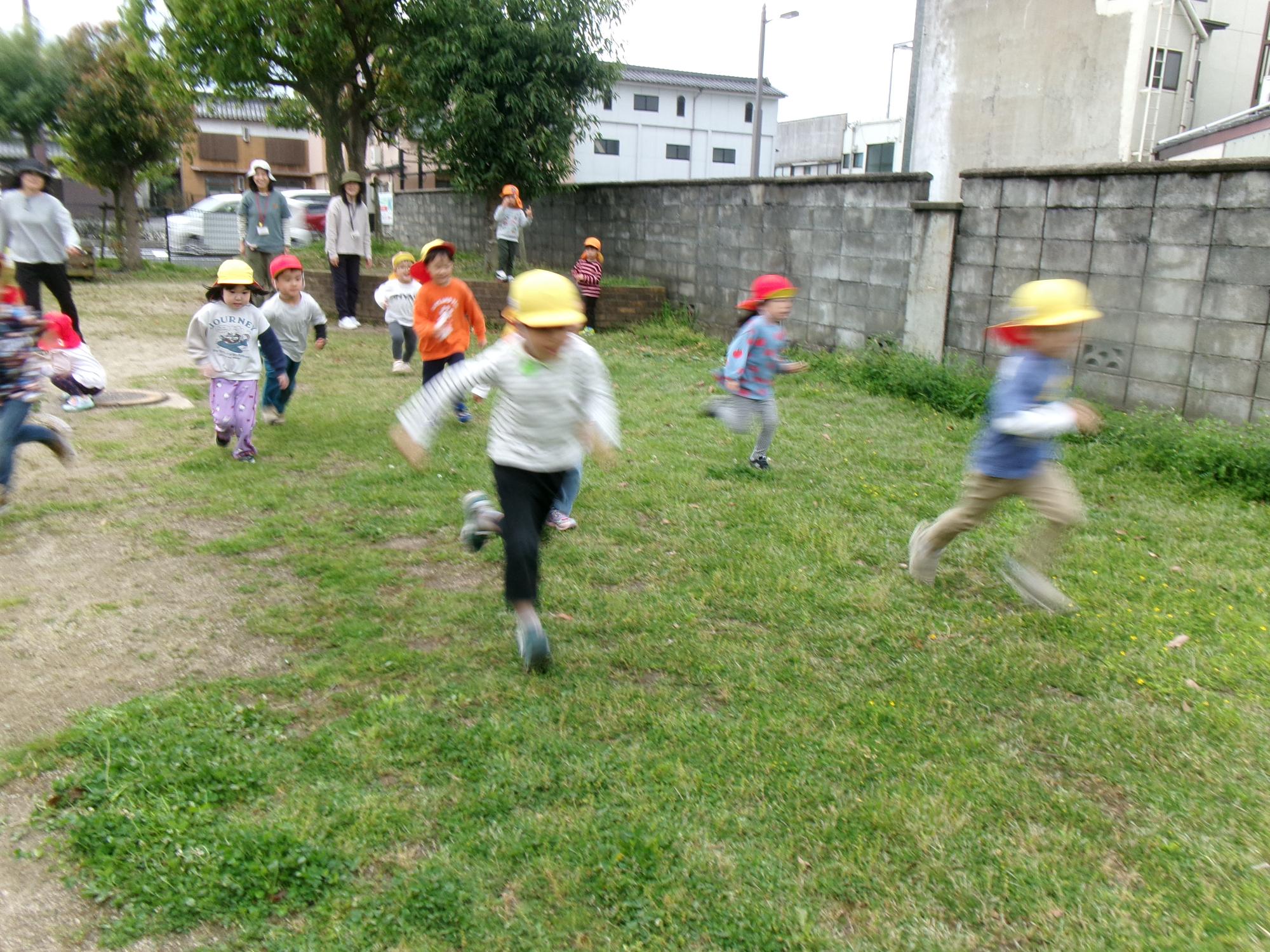 散歩先の広場で走っているところ