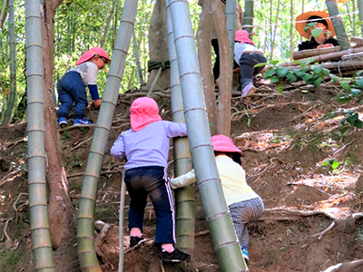 竹につかまって斜面を登っている雑賀幼稚園の園児たちの写真