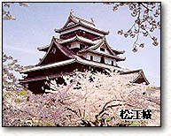 桜の中にたたずむ松江城を写した写真