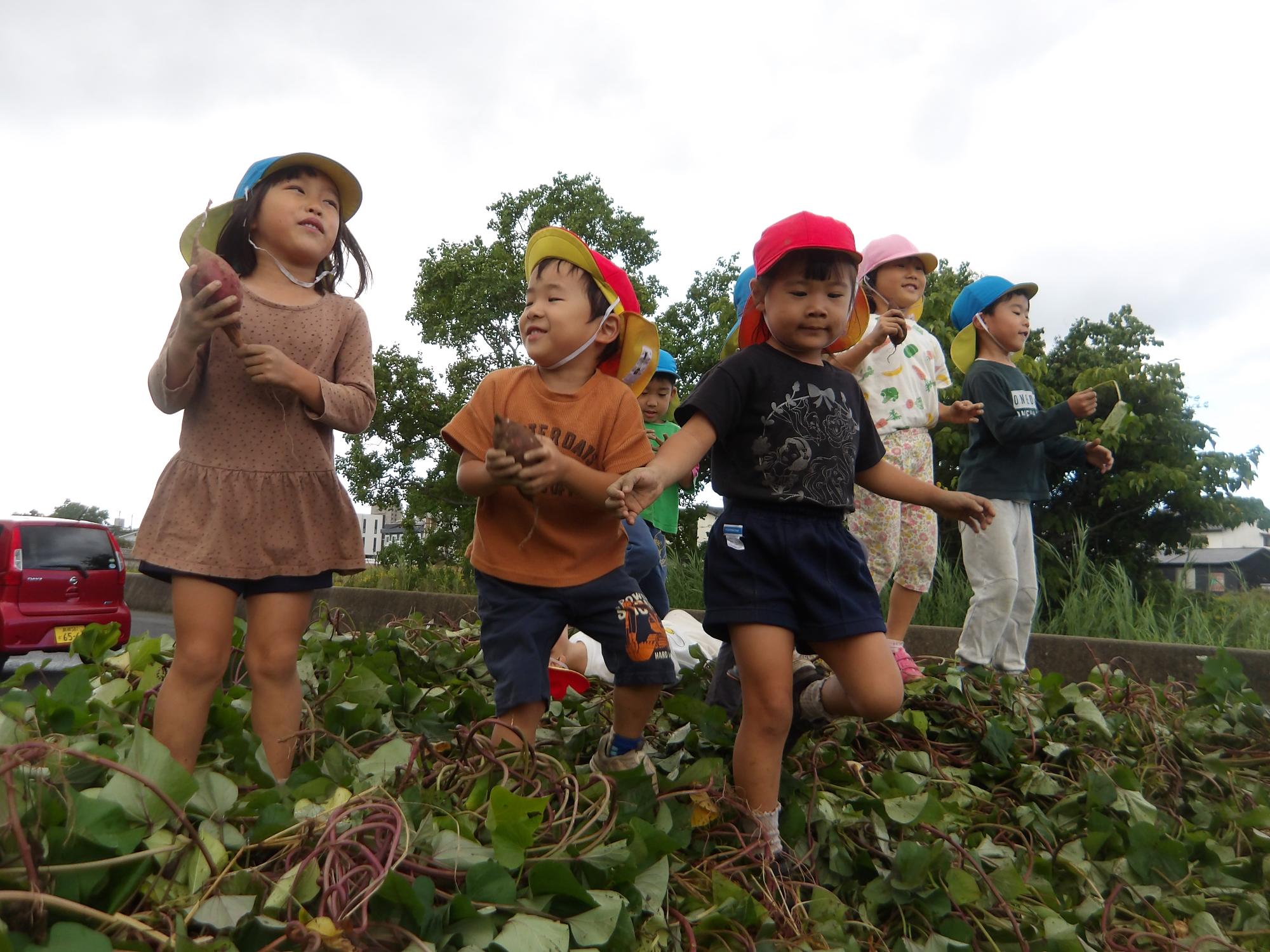 つるの上でライブ