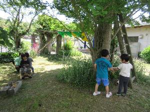 園庭の木陰を秘密基地にして遊ぶ園児