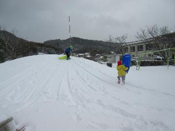 園庭の築山でそり遊びをする園児