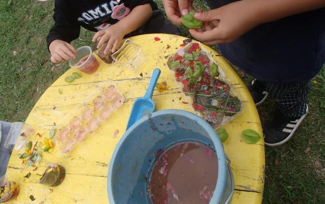 バケツやコップに水や草花を入れて、水に色を移して遊んでいる園児たちの写真