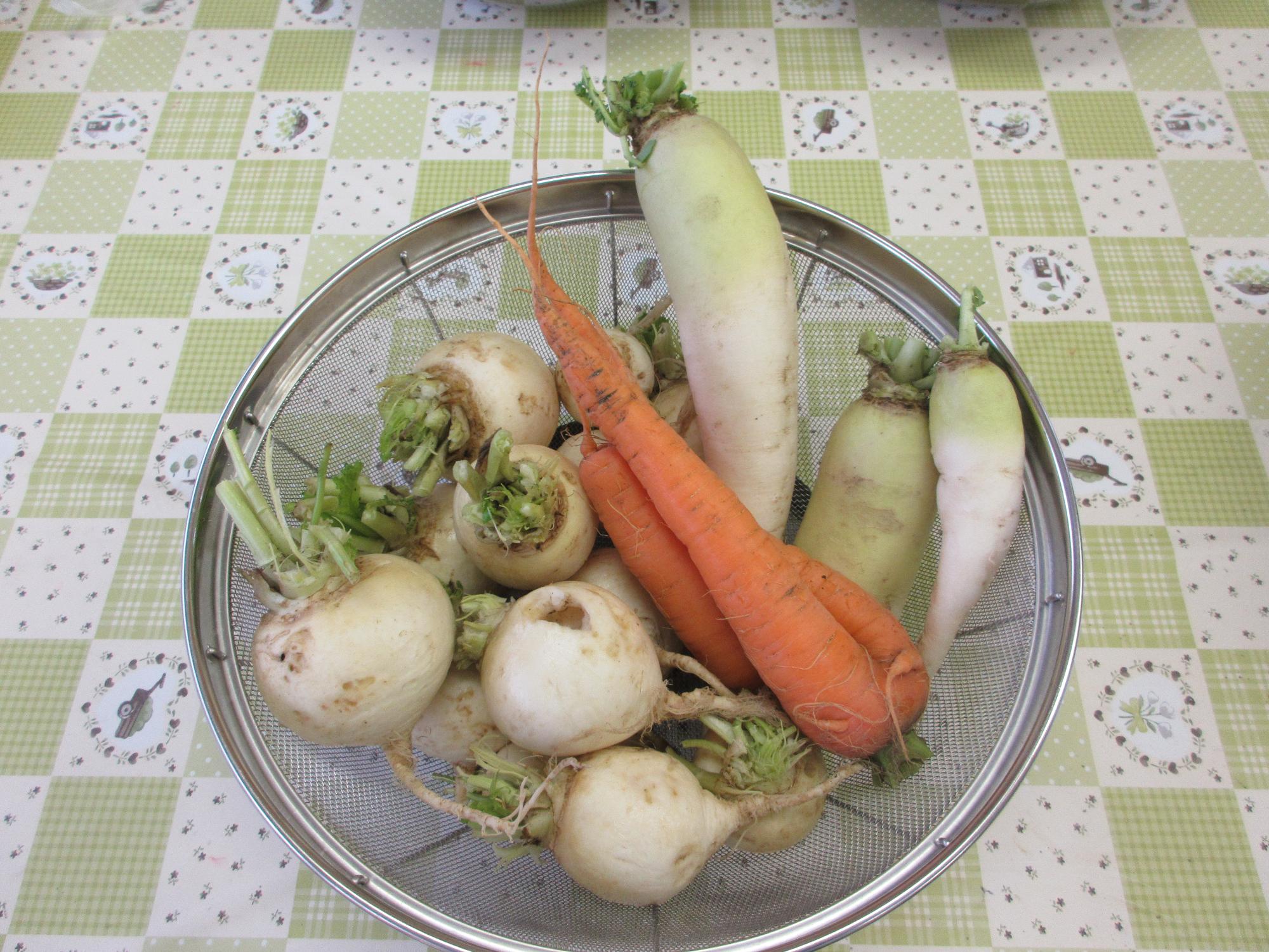 幼稚園で収穫した野菜