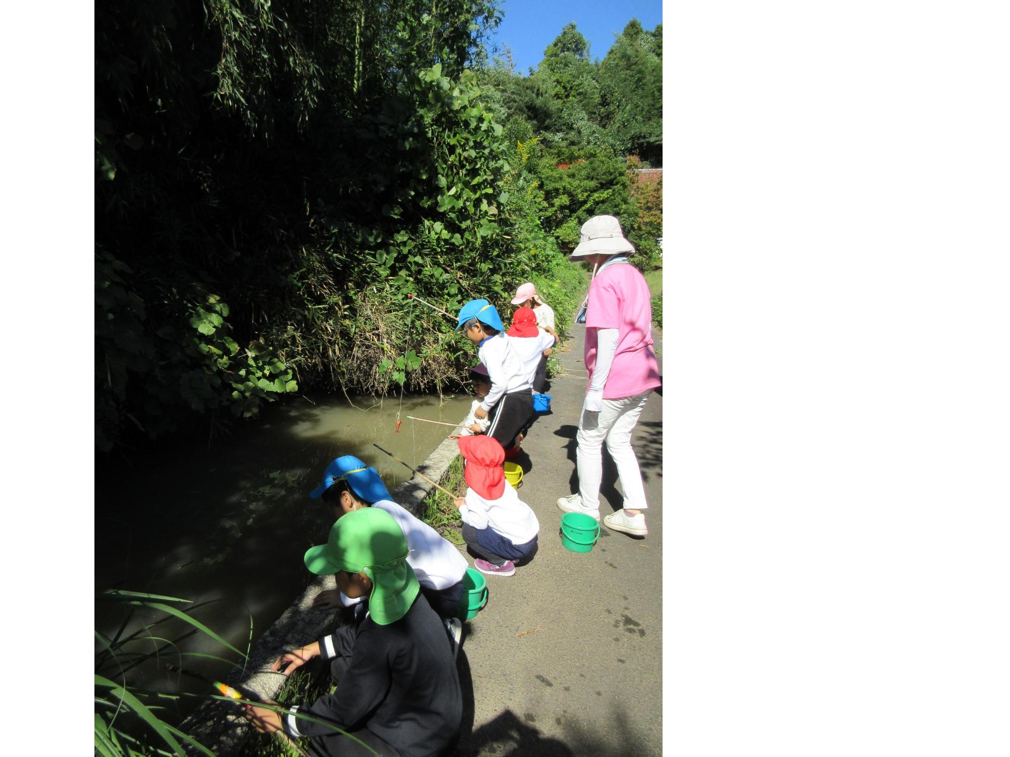 ザリガニ釣りに挑戦