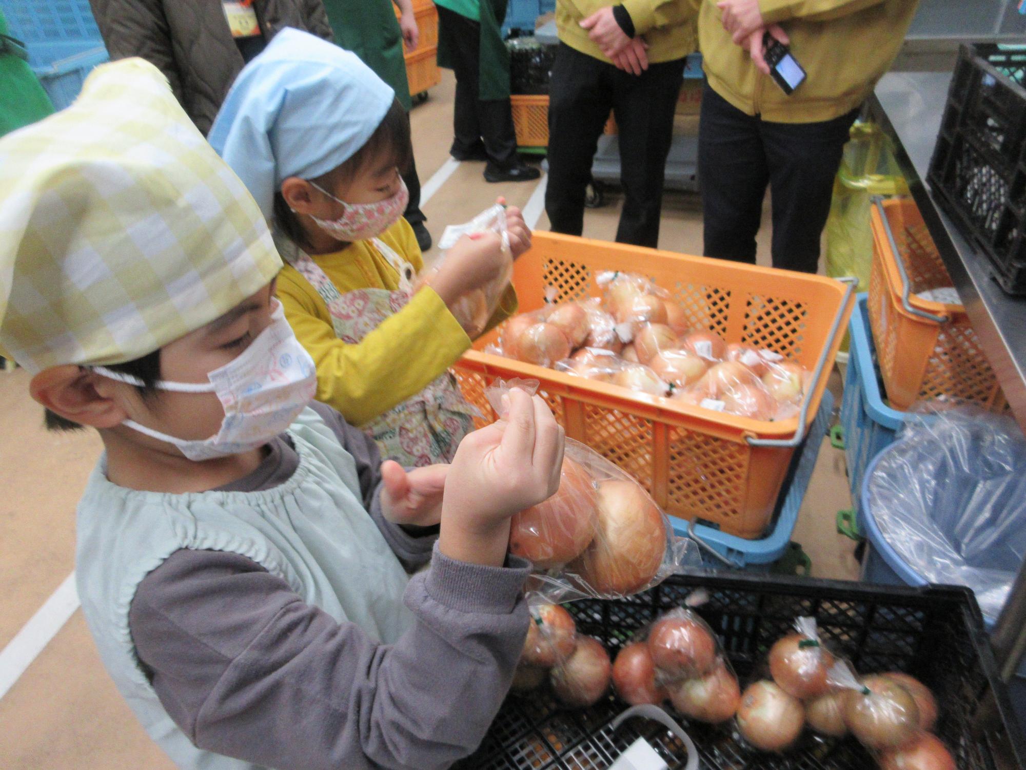 野菜の袋つめ体験