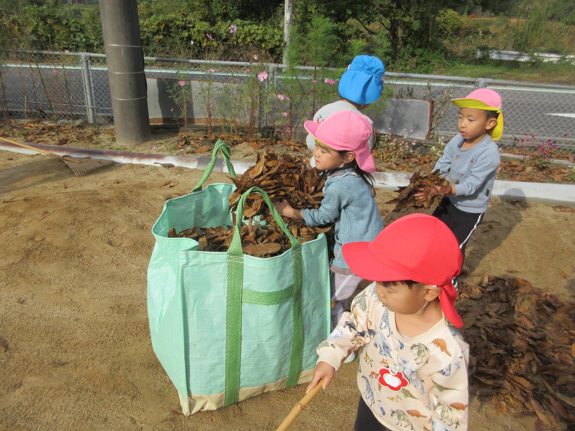 できるまで、みんなで落ち葉集めをしたよ