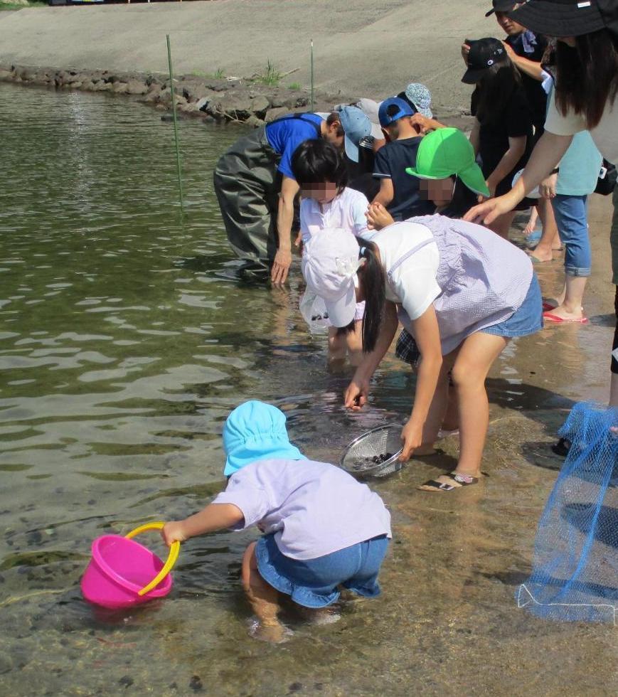 宍道湖の水の気持ちよさを感じながら湖畔でシジミ採りをする様子