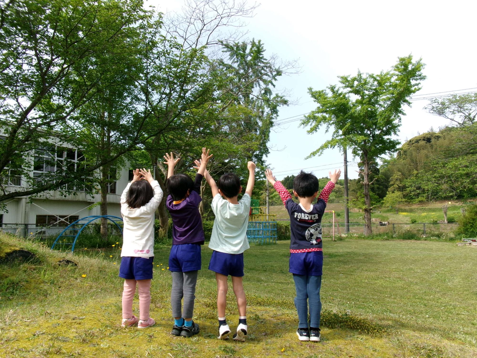 園児4人が園庭で手を上げている後ろ姿の写真