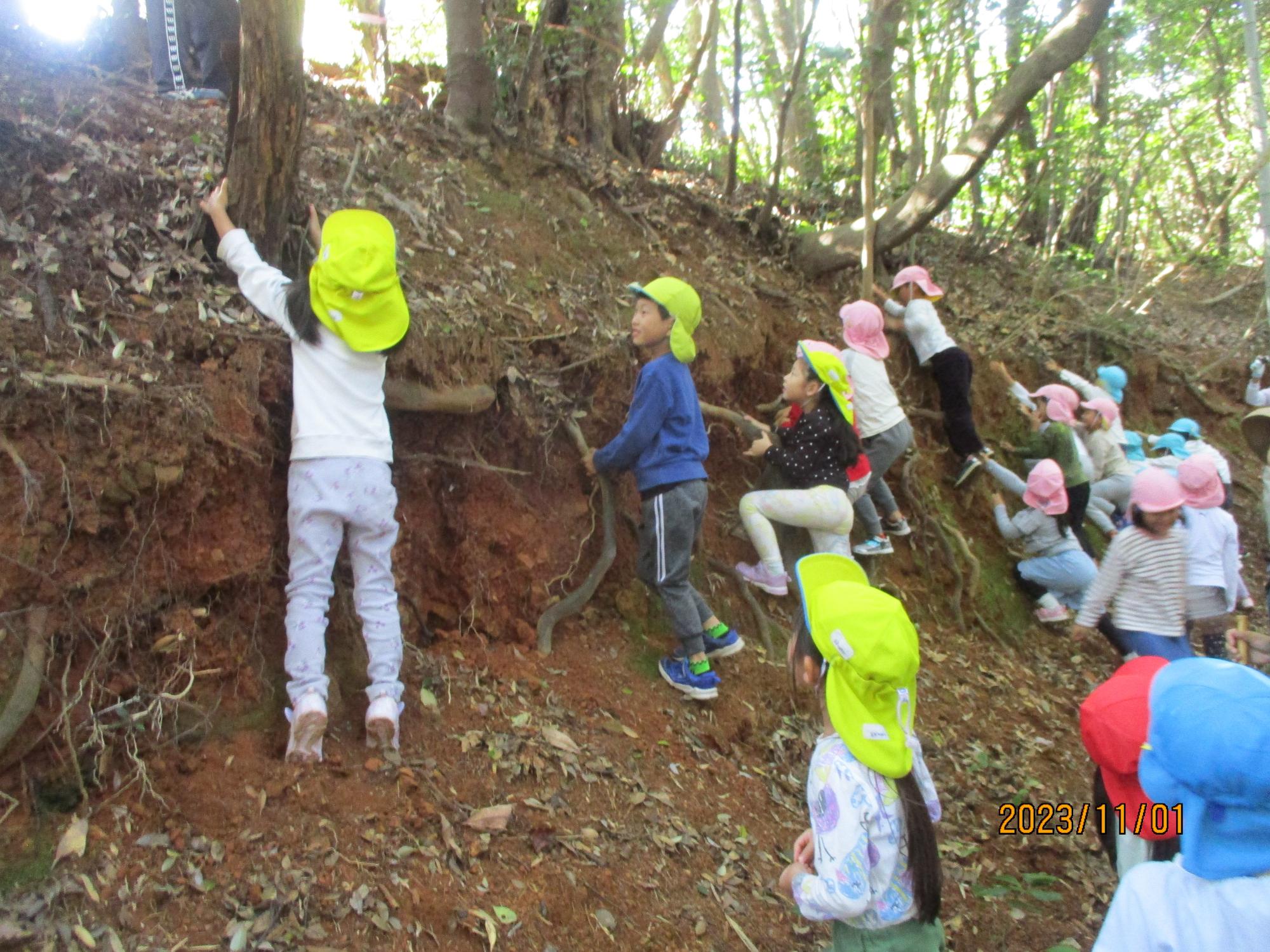 秋葉山へ行ったよ。講武幼稚園と御津保育所のお友達と一緒に遊んだよ！