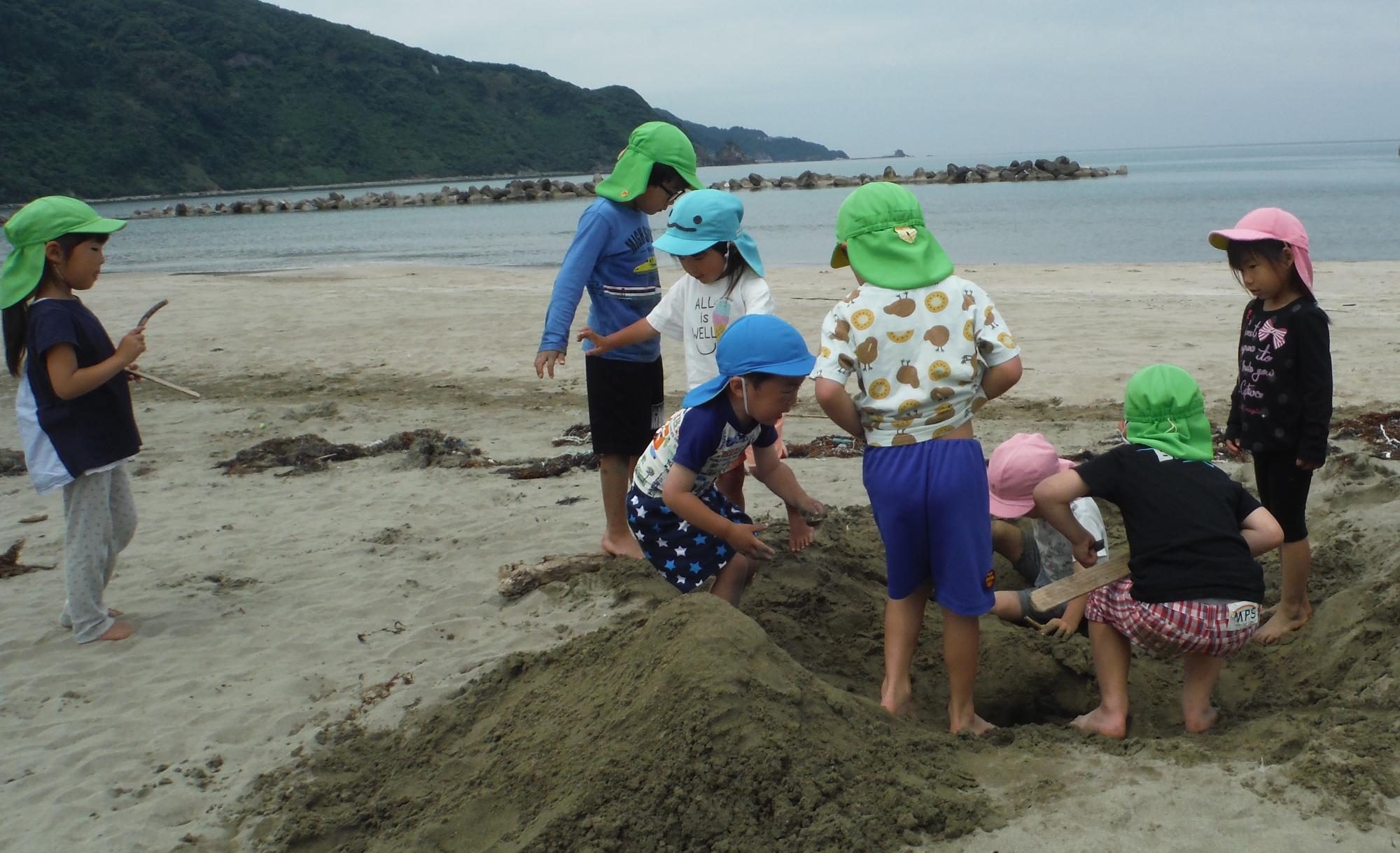こうらの浜遊び