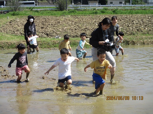 田んぼ遊び よーいどん