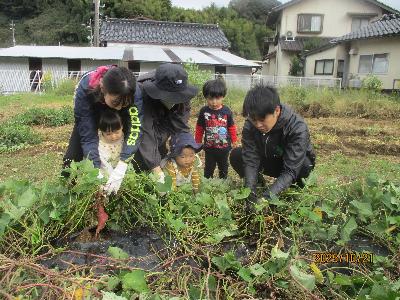 みんなで芋掘り楽しいな