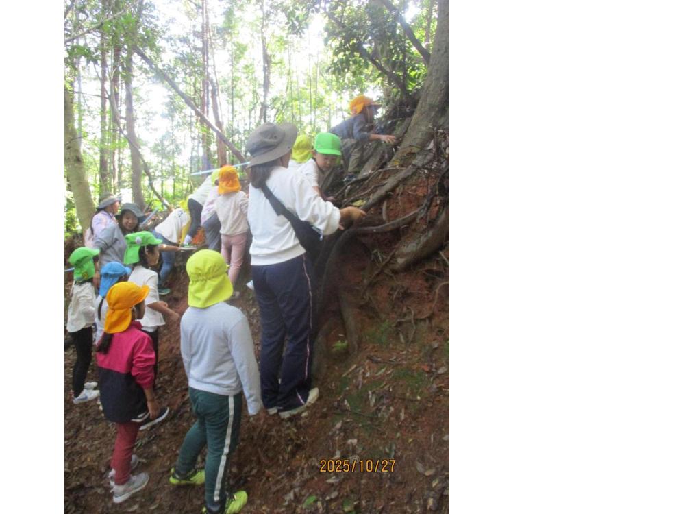 秋葉山で、講武幼稚園・恵曇保育所・御津保育所の友達とあそんだよー
